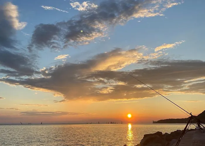 Homeparini - Center * Trieste