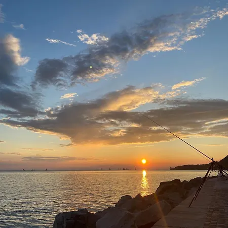 Homeparini A * Triest